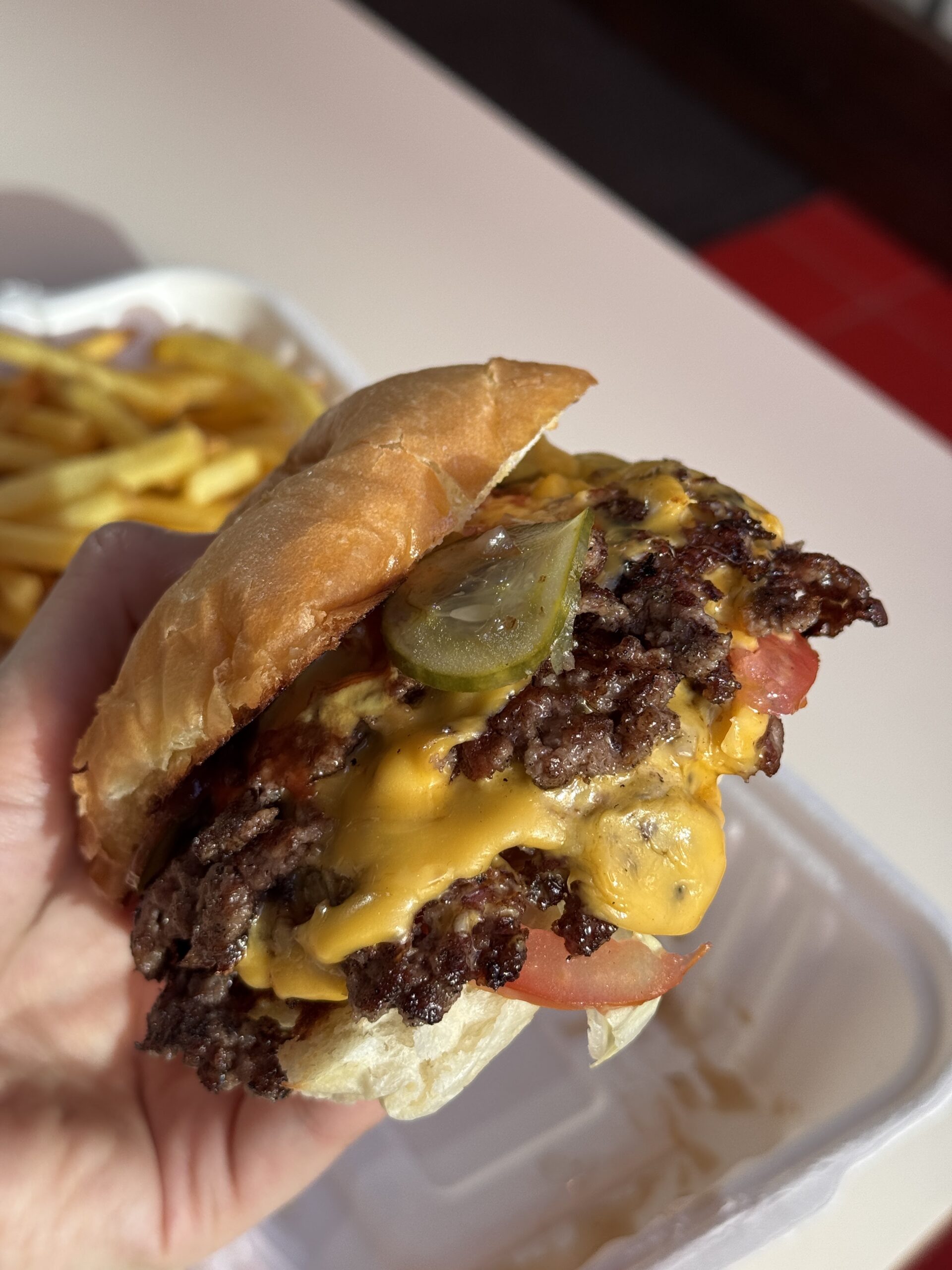 Supernormal Burger Moda