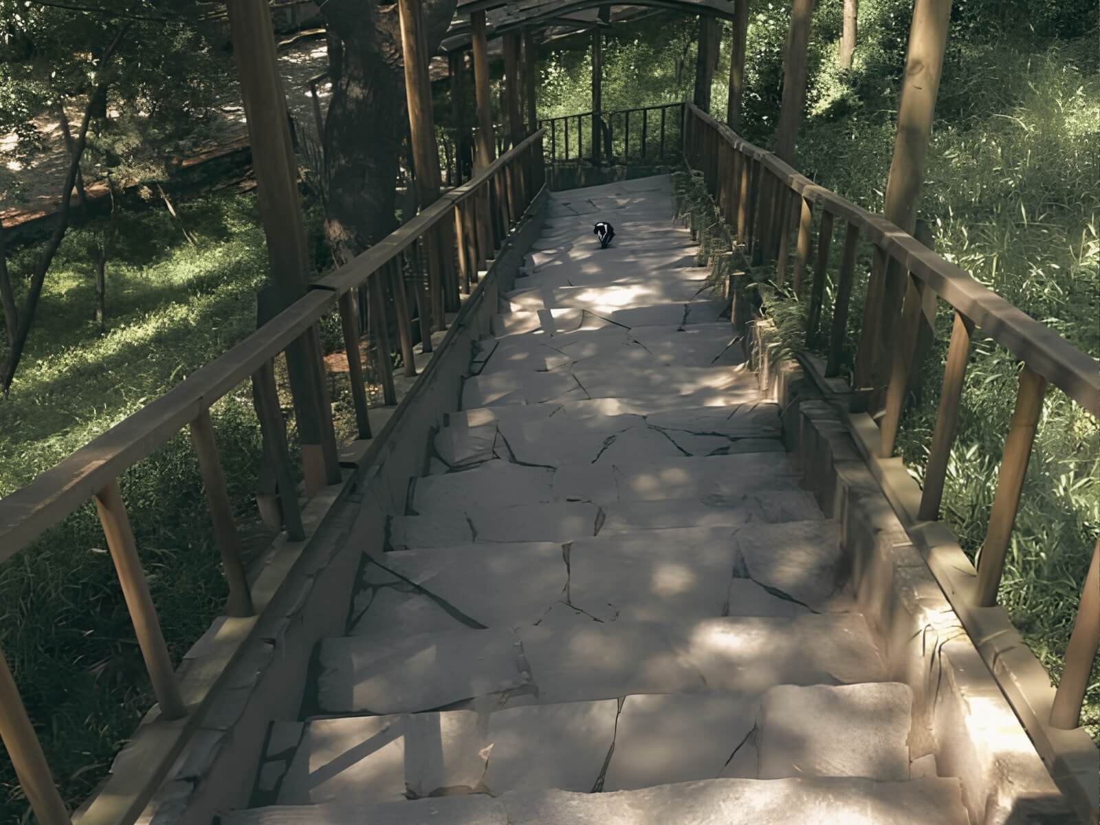 Explore Maçka Park