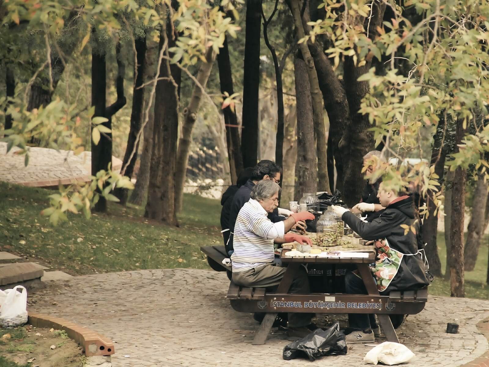 Explore Maçka Park