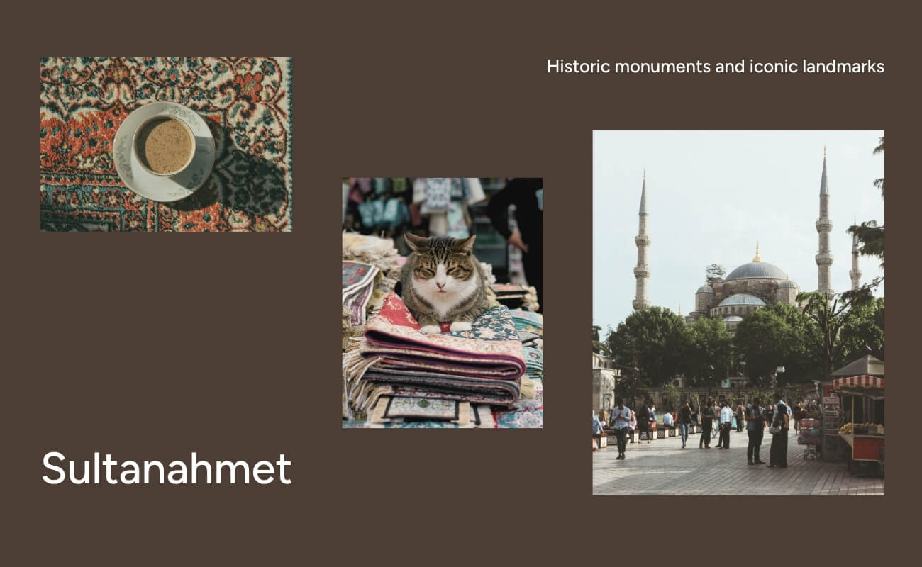Fatih Neighborhoods