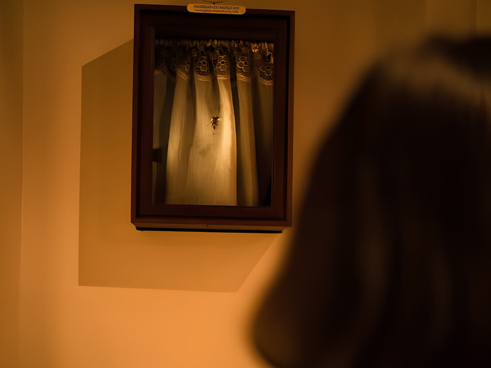 Museum Of Innocence