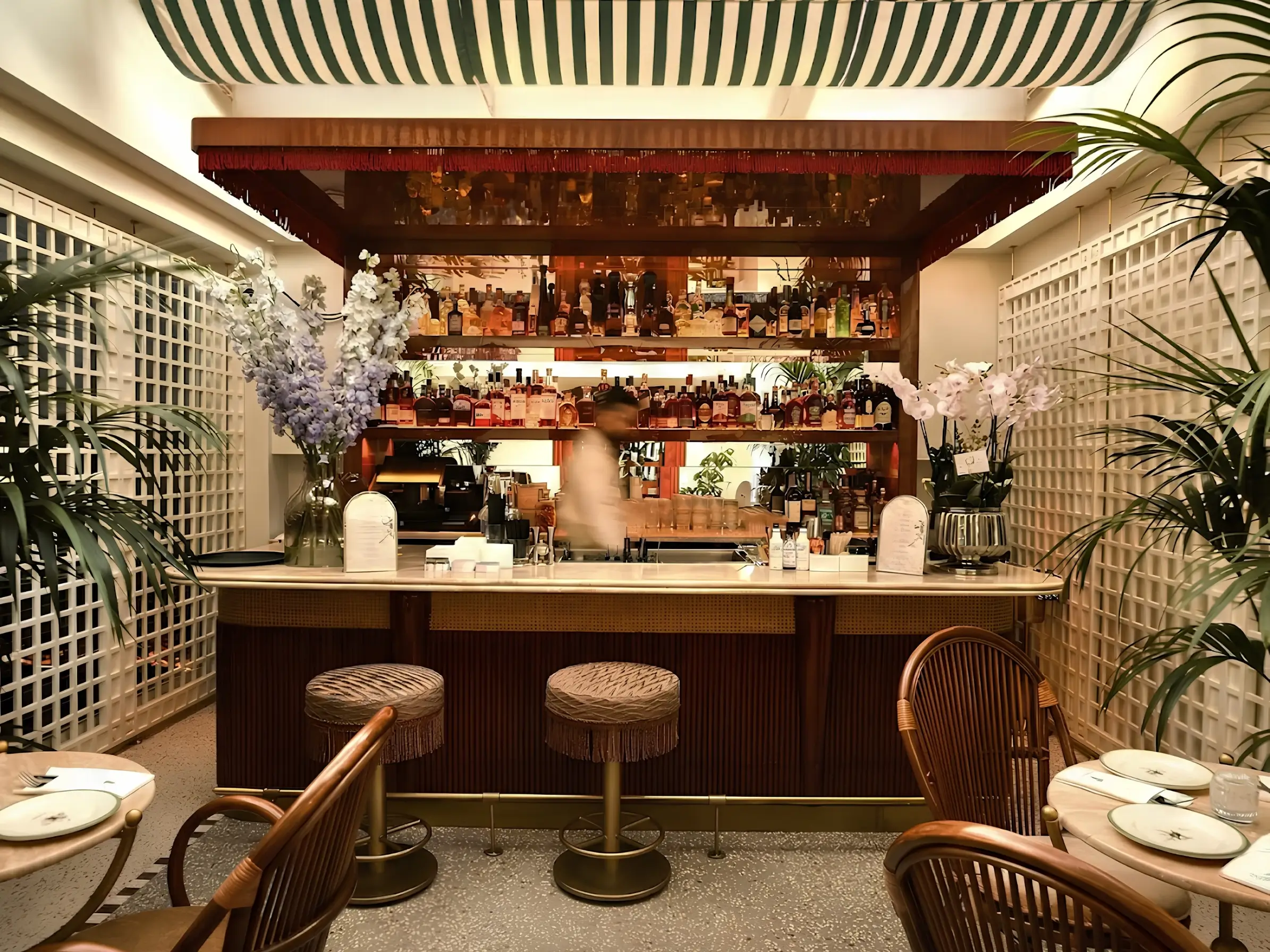 Dandy Istanbul