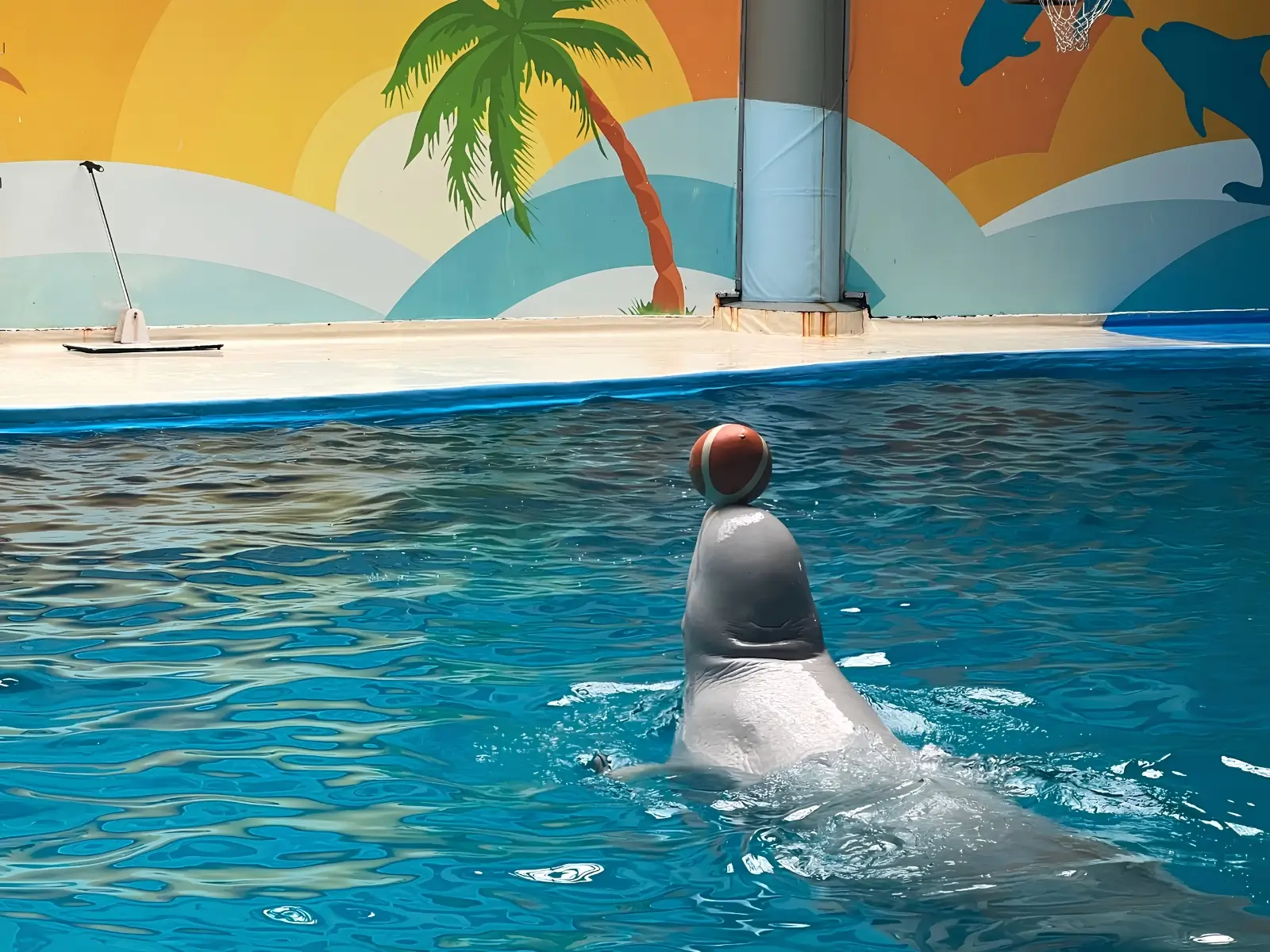 Istanbul Dolphinarium