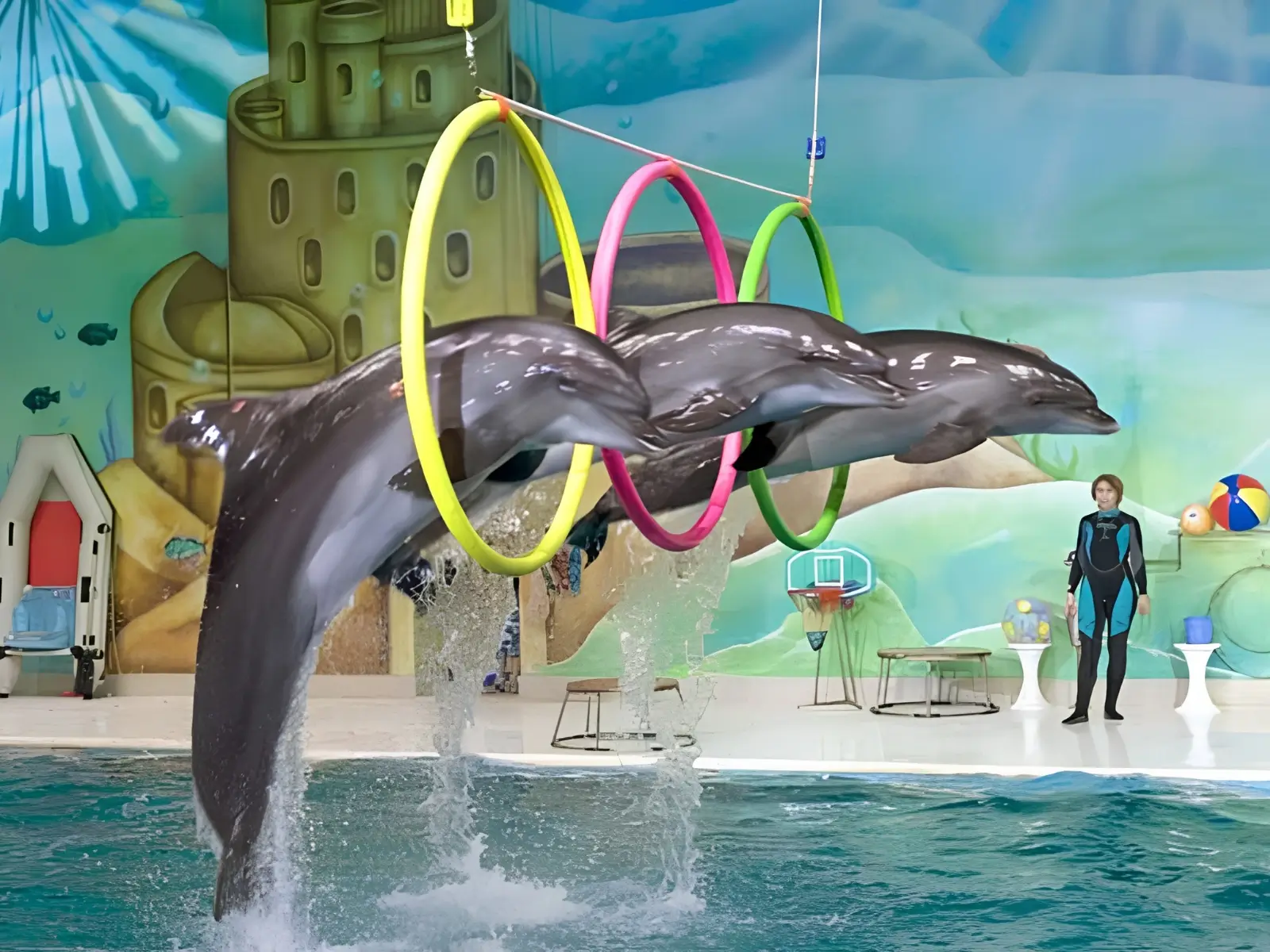Istanbul Dolphinarium