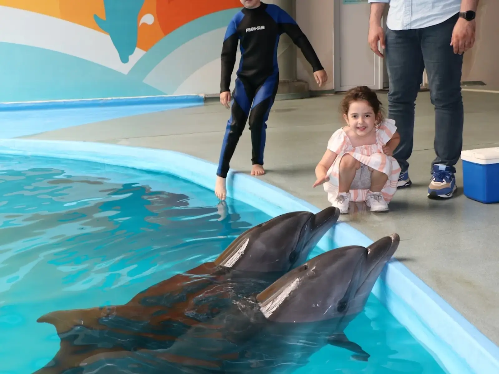 Istanbul Dolphinarium