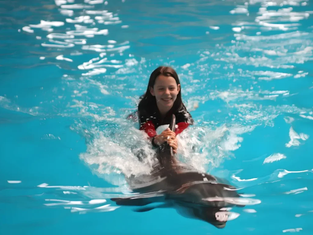 Istanbul Dolphinarium