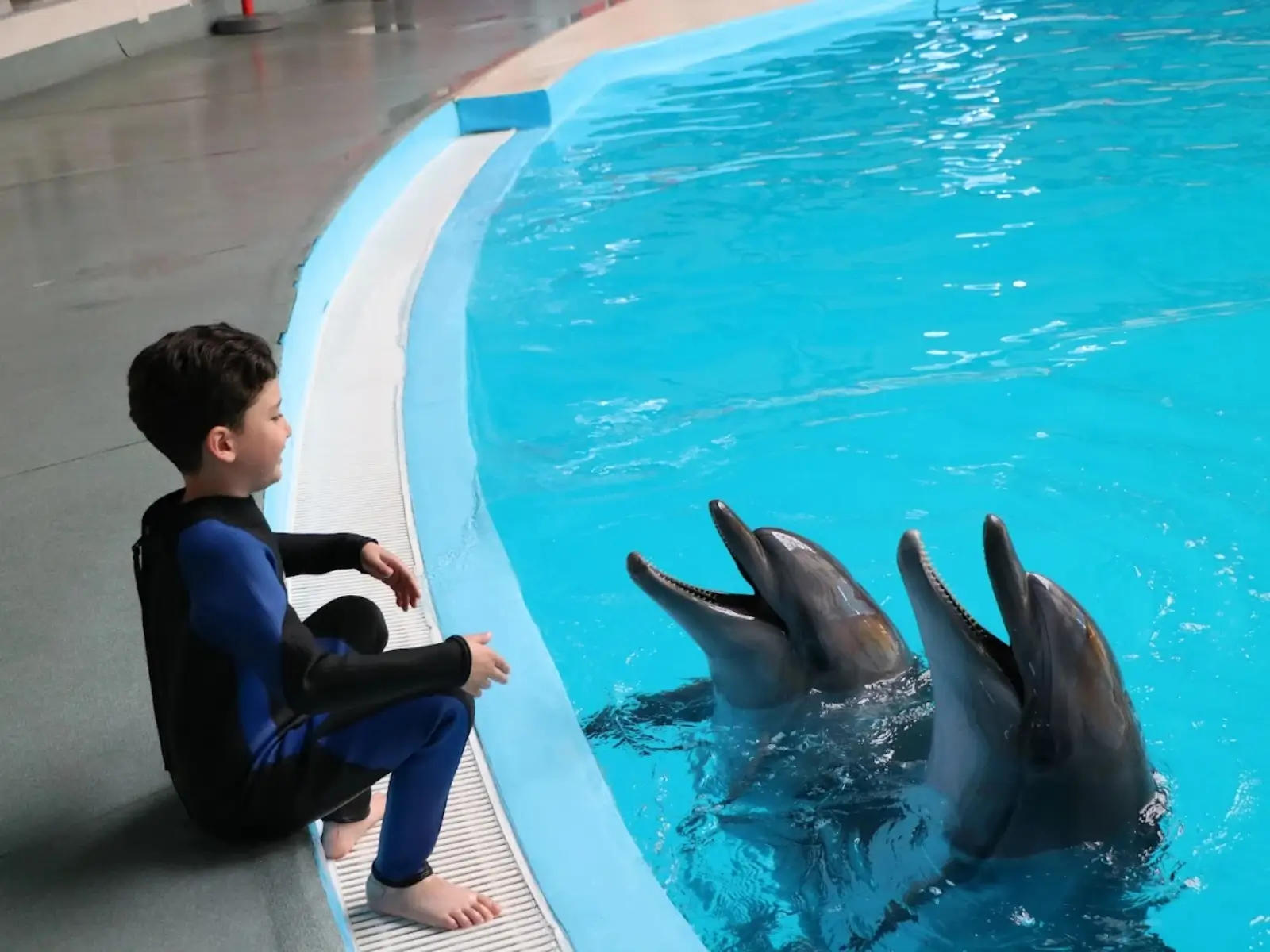 Istanbul Dolphinarium