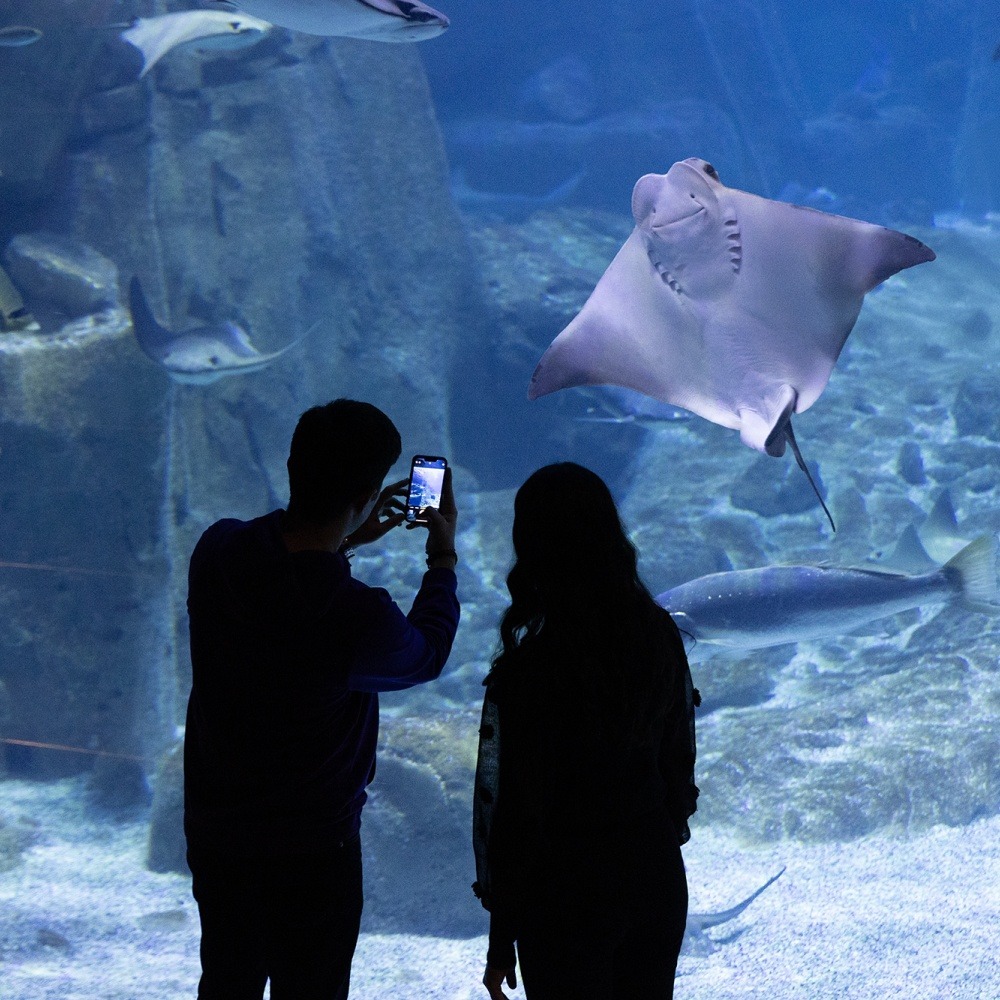 Istanbul Aquarium