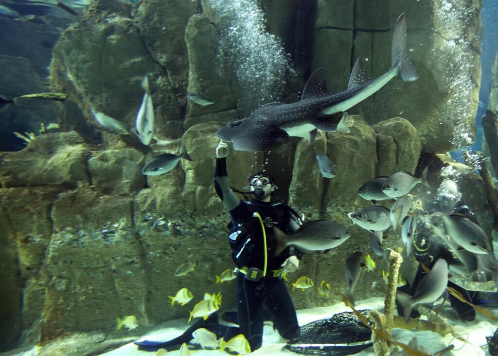 Istanbul Aquarium
