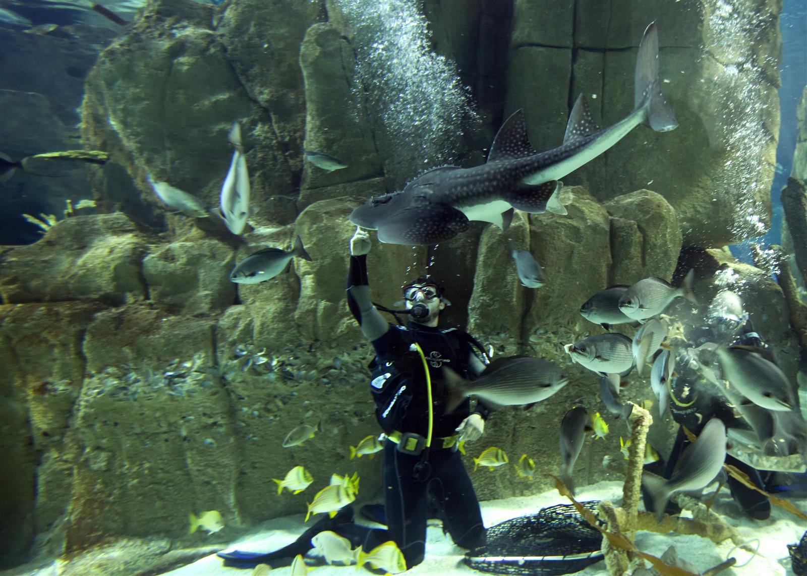 Istanbul Aquarium