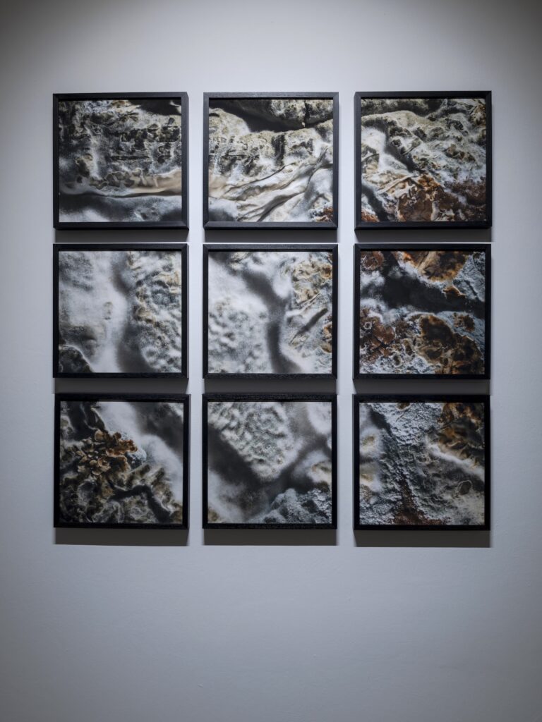 Discover emerging contemporary artists at Zilberman Gallery in Istanbul